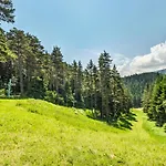 Хотел магнолия, Magnoliya