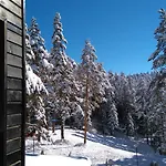 магнолия, Magnoliya Паничище