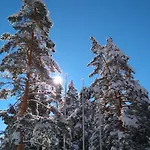 магнолия, Magnoliya 3*
