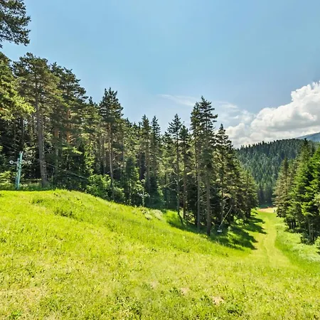 Hotell магнолия, Magnoliya