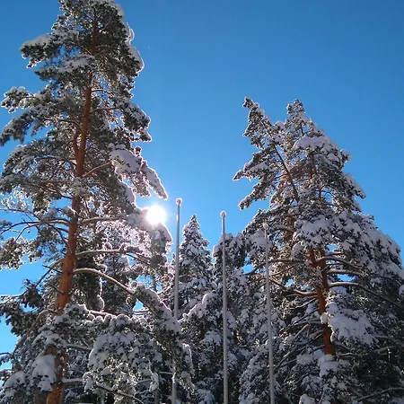 магнолия, Magnoliya 3*