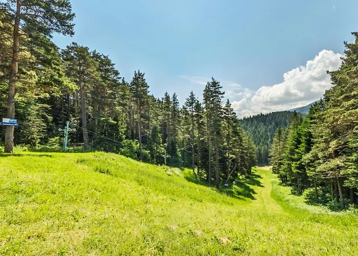 Hotel магнолия, Magnoliya