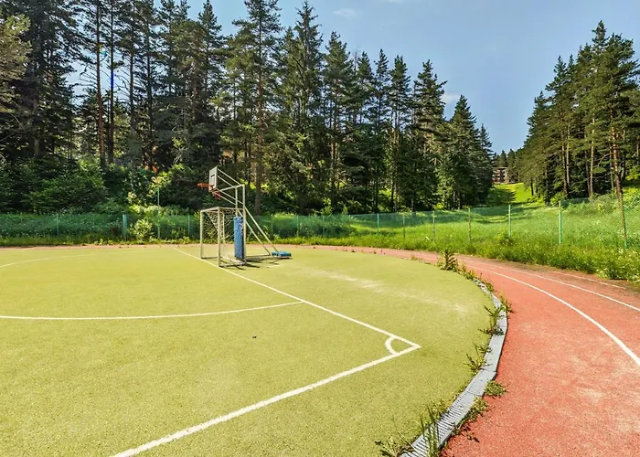 магнолия, Magnoliya Panichishte