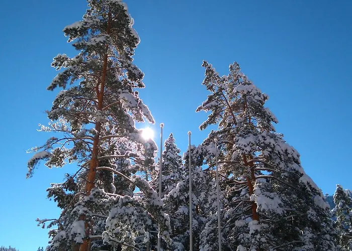 магнолия, Magnoliya 3*